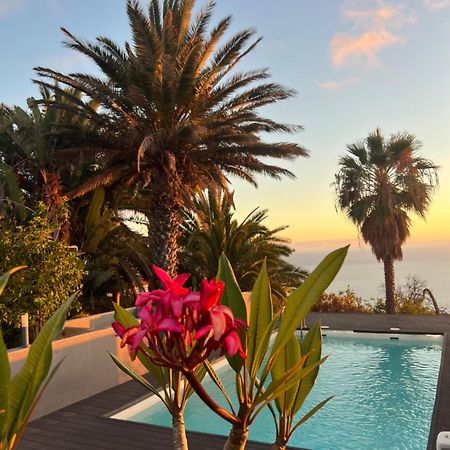 Casa Buena Vista Villa Jedey Dış mekan fotoğraf