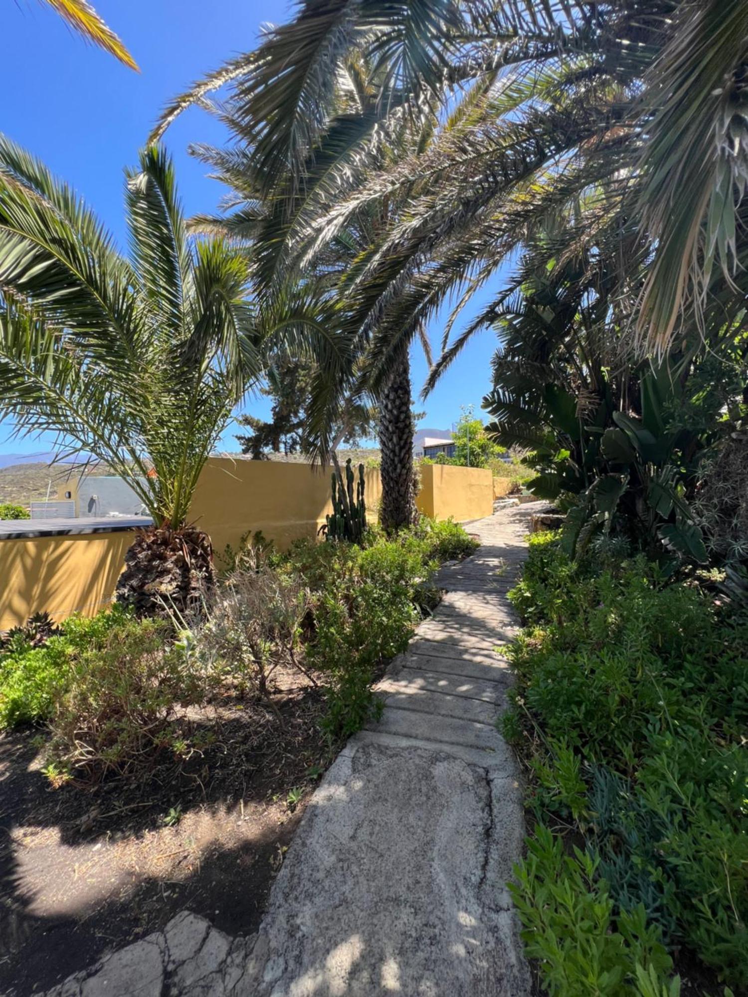 Casa Buena Vista Villa Jedey Dış mekan fotoğraf