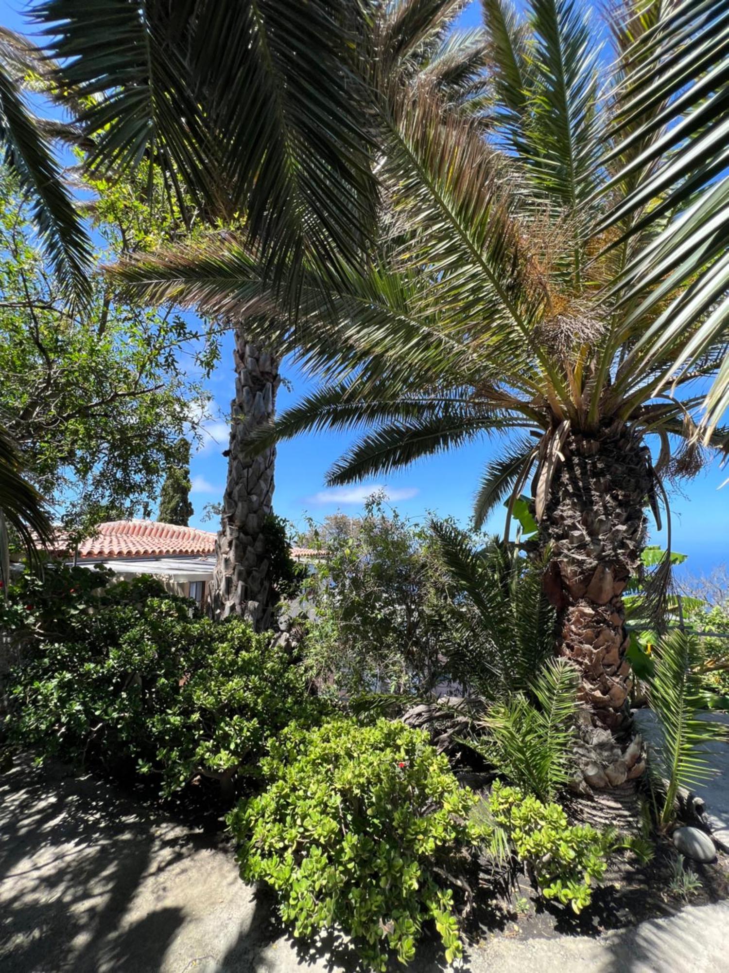 Casa Buena Vista Villa Jedey Dış mekan fotoğraf